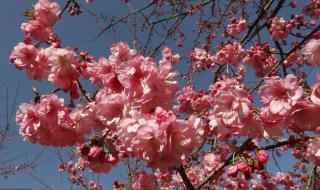 陶然亭公园门票 陶然亭公园门票